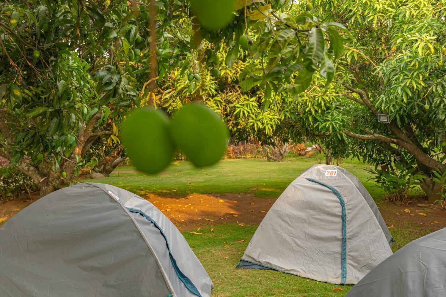 Q Mango Resort Rāmanagaram Екстериор снимка